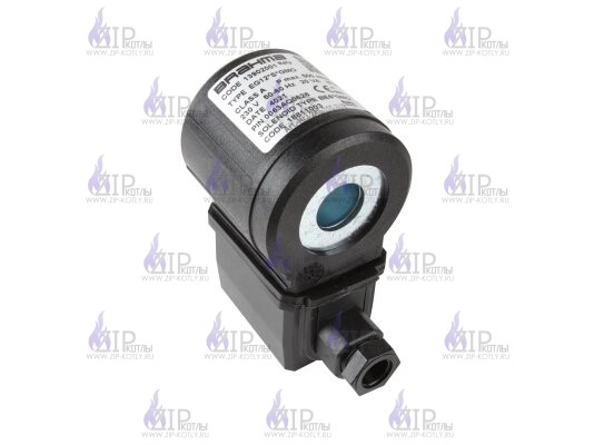 Электромагнитная катушка Brahma BE6*GMO 18811003_2 Электромагнитная катушка Brahma BE6*GMO 18811003_2