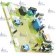 Плата управления Рысь Lynx 24/28 Protherm 0020119390