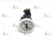 Tермоманометр Thermona 21093