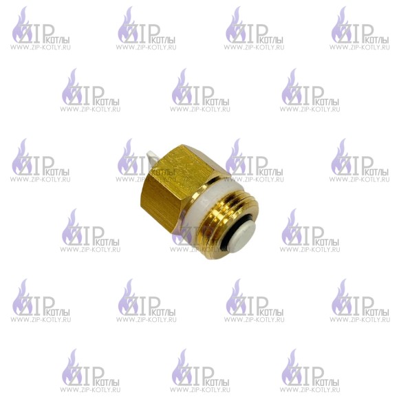 Клапан автоматический воздушный 3/8" ACV 55445007