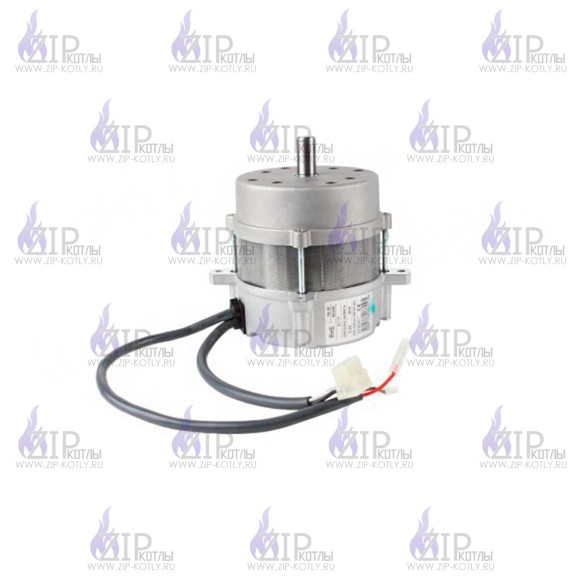 Электродвигатель Riello RHE 603SE 0117 3008489_3