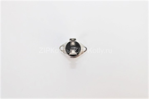 Термостат аварийный 75С 40527 (2)