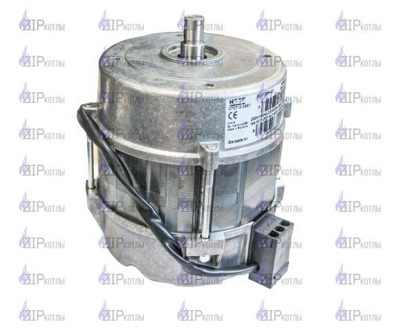 Электродвигатель Weishaupt Hidria ECK03/H-2/1 для WG10C We652113