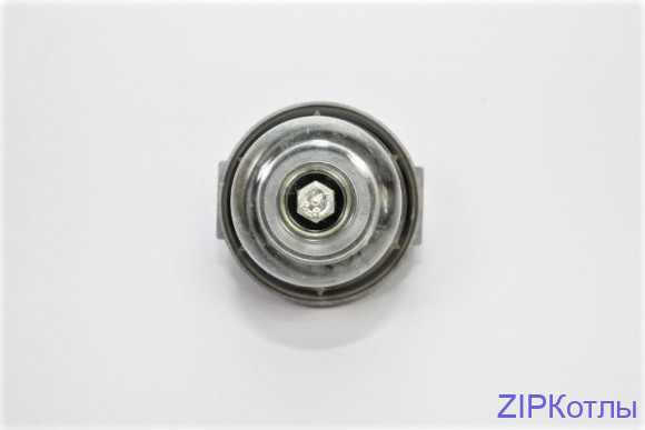 Фильтр топливный в сборе, тип BV 4031.070, 696.874 (5)