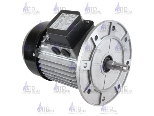 Электродвигатель Riello MS2 802-2 B5 IE2 3003966