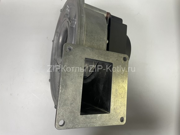 63649DB4-DFBB-4266-A87E-60AE43D1E61D-min 63649DB4-DFBB-4266-A87E-60AE43D1E61D-min