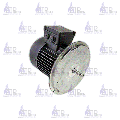 Электродвигатель Weishaupt WM-D112/140-2/3K5 21520407010