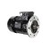 Электродвигатель Riello MS2 90L1-2 B5 IE2, 2.2 кВт 3003968