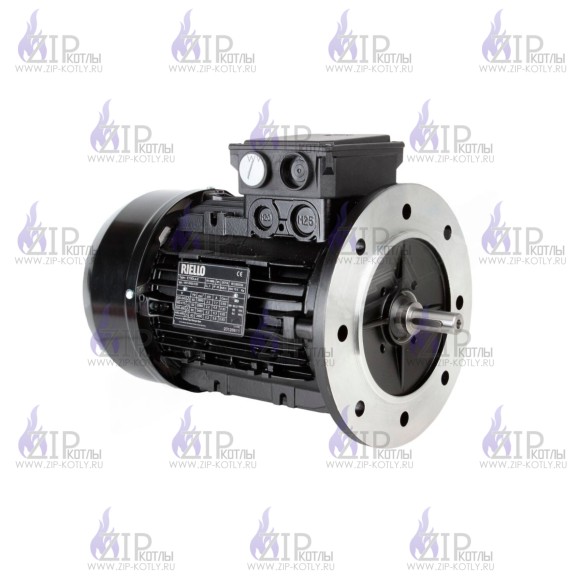 Электродвигатель Riello MS2 90L1-2 B5 IE2, 2.2 кВт 3003968