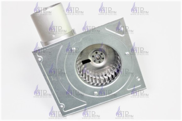  AA02000020 (AA10020023) (4)