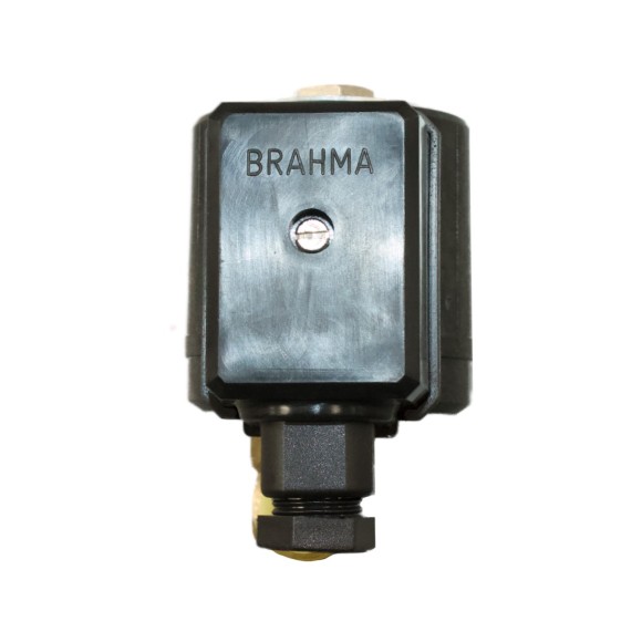 Электромагнитный клапан Brahma E6G*S8*1/4*GMO 13752003_4