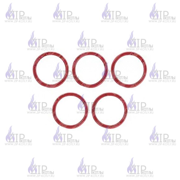 Прокладка 51х41х4 (5 шт) Protherm 0020033474