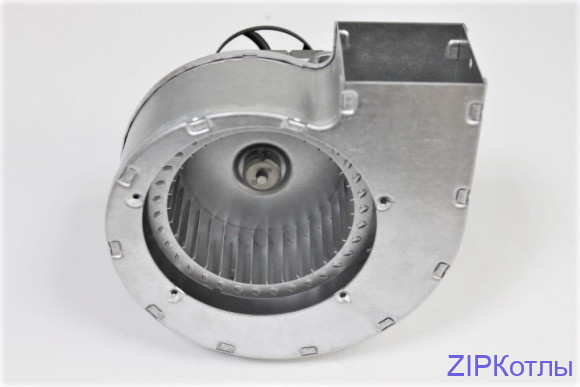 5695650 (1) 5695650 (1)