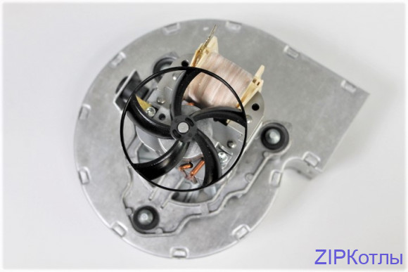 5695650 (5) 5695650 (5)