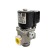 Электромагнитный газовый клапан Brahma EG12*SR*GMO 13912001 (230/50-60)_2