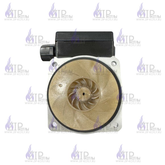 Двигатель циркуляционного насоса DUCA BPS-G 15/60 аналог Grundfos_1 Двигатель циркуляционного насоса DUCA BPS-G 15/60 аналог Grundfos_1