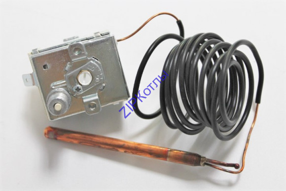 0020137097 (1) 0020137097 (1)