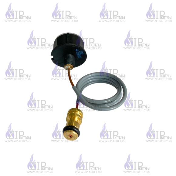 Манометр CEWAL 1/8 Bosch, Buderus 19928681 (новый 8737602885)_3