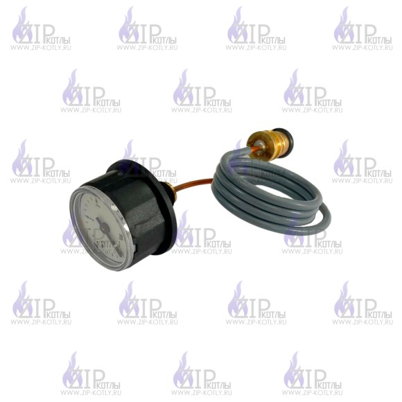 Манометр CEWAL 1/8 BOSCH, BUDERUS 8737602885 (19928681)