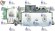 Газовый клапан регулятор подачи газа  SIT 836010 Tandem 0020025242 для Protherm 63AP7060/4 Медведь 20,30,40 KLOS-11/12.