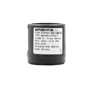 Катушка клапана Brahma BE6*AFD 18811832